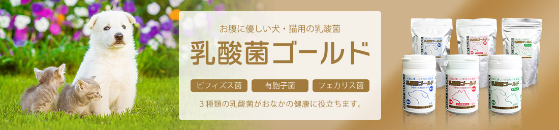 乳酸菌ゴールド ラインナップ｜ベッツチョイスジャパン